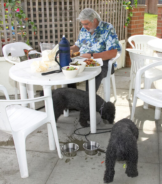 Hey, this is great - a pub lunch