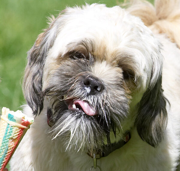 I'm a mucky pup, aren't I?