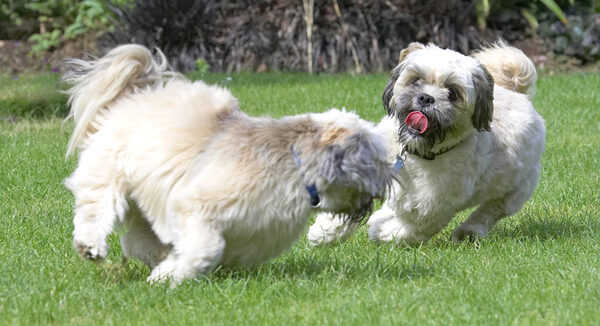 Playtime!