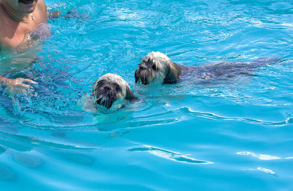 Have you seen how big this pool is!!
