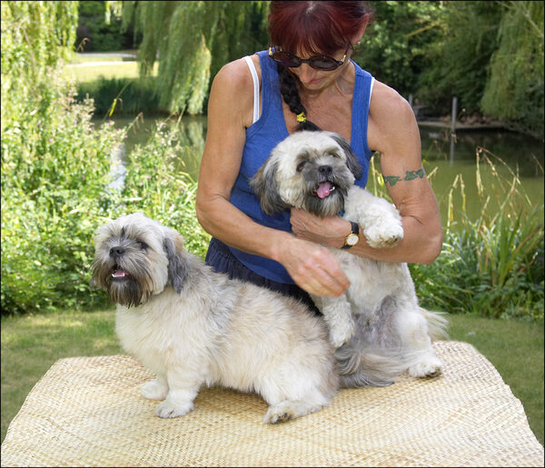 No, no, no she's not strangling me I'm having a massage