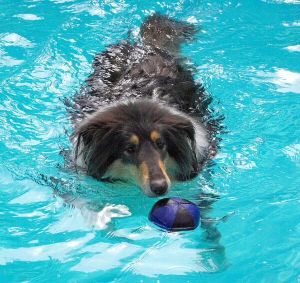 And I can chase a ball