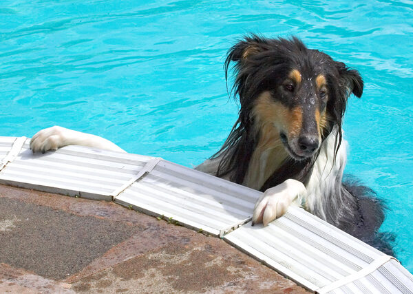 Is the pool bar here?