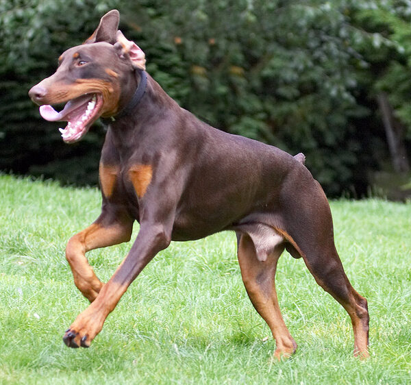 I'm just running free
