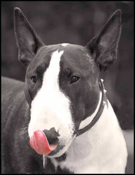 Just lickin' my chops