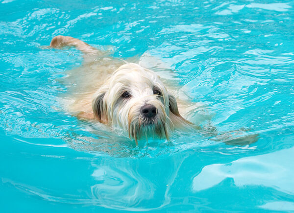 I'm just a natural water baby