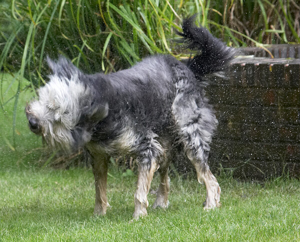 Twist and shake!