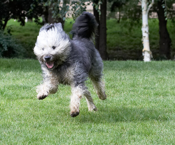 Look, I'm flying