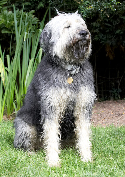 Who's a handsome boy then