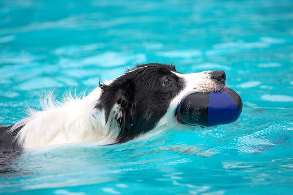 And now I'll bring the ball back