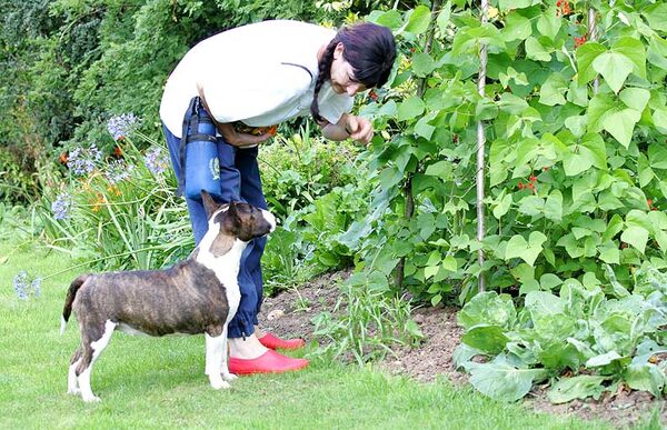 Marjorie Showing Gucci the Runner Beans