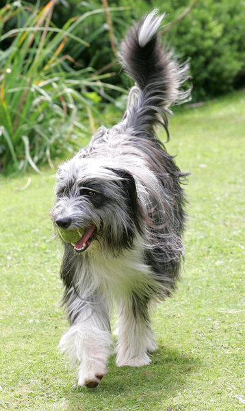 Nell in the Garden