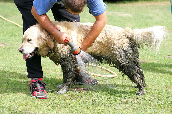 Holly Getting A Hose-Down from Big
