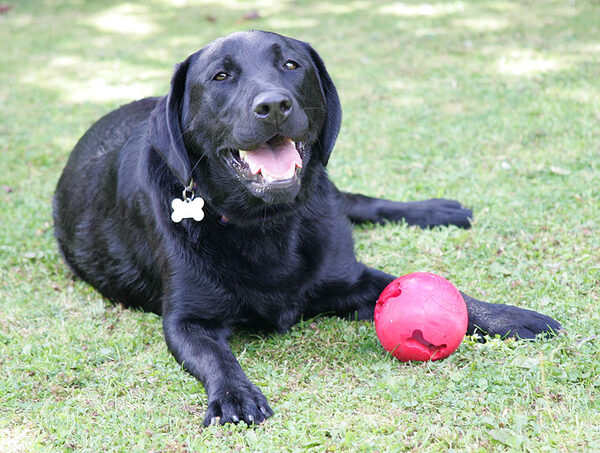 Ellie