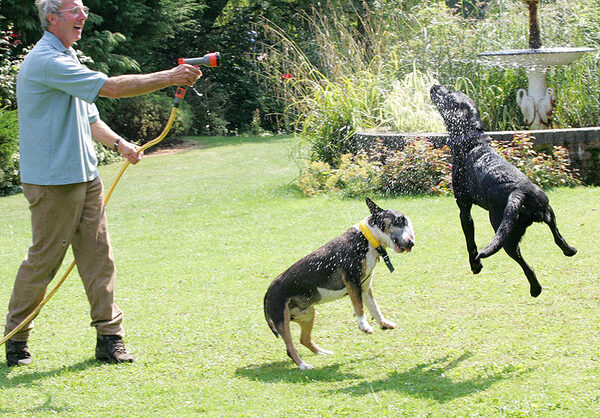 Harvey and Buddy