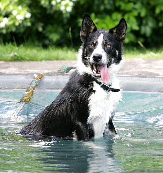 Harvey Cooling Down