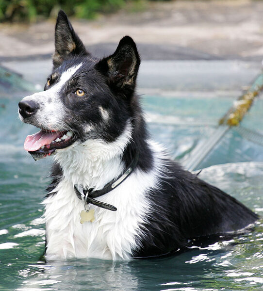Harvey Cooling Off