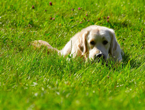 D'ya think they can see me?
