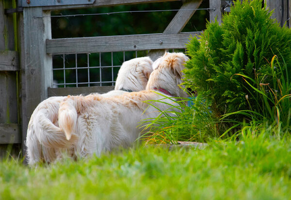 Checking out the wild life