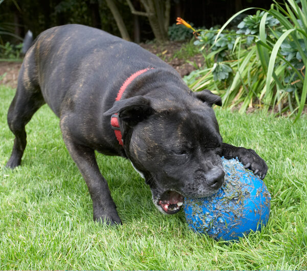 I'm gonna kill this ball