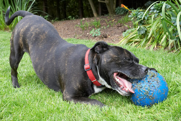 This ball's not gonna beat me
