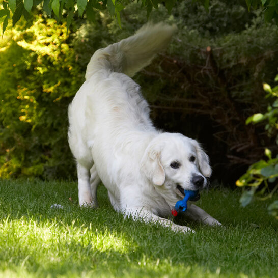Oh yeah, I love my playtime