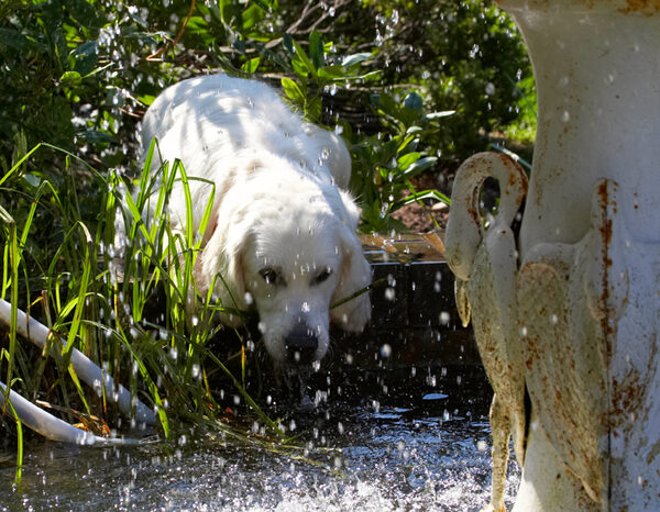 Now, how do I get down to the water?