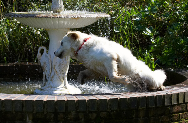 .........aha, I know I'll go in .........