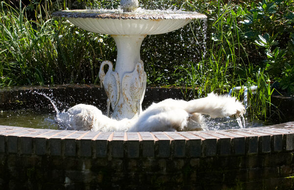 .......... wot a splash