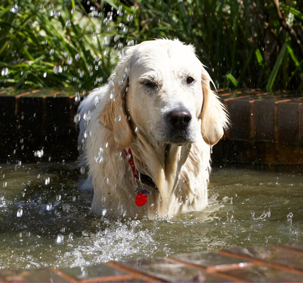 Welllllll, that was a bit wetter than I expected