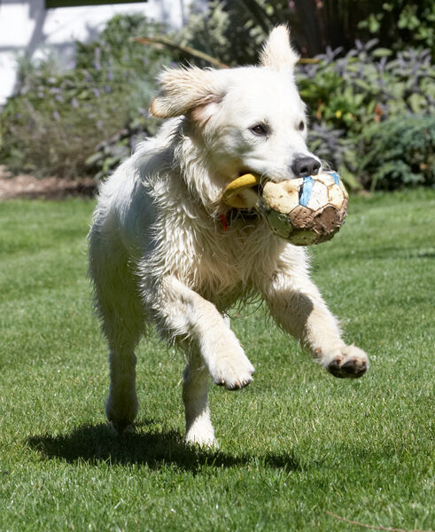 ................ and run .................