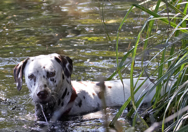 I'm cooling off, so what