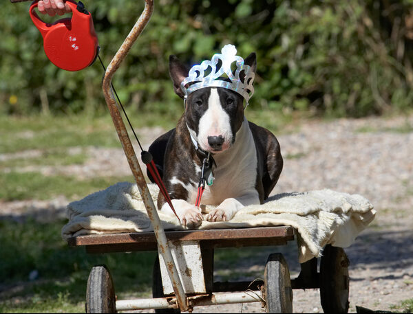 This is my carriage ..................