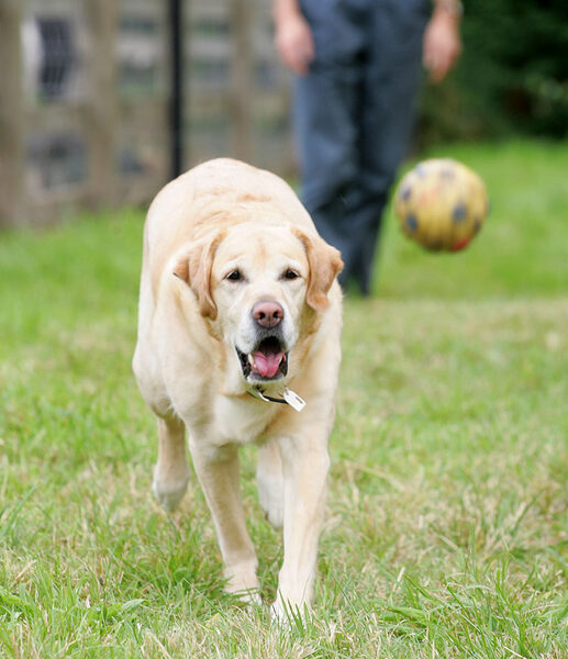 Zac Playing Catch