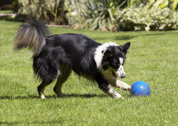 Nothing like a game of football