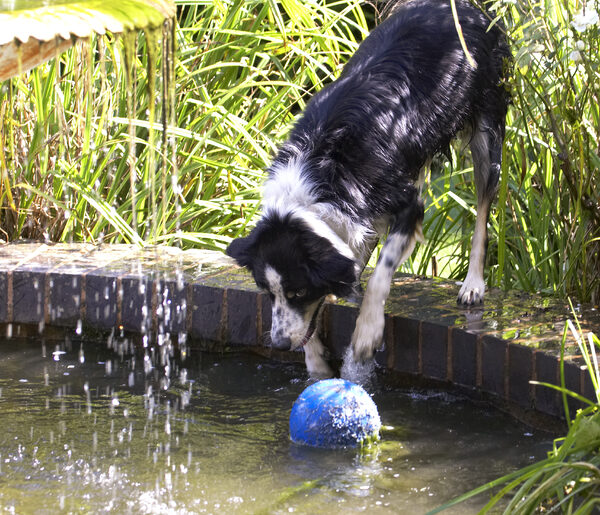 Hmmm, now how do I get this ball out?