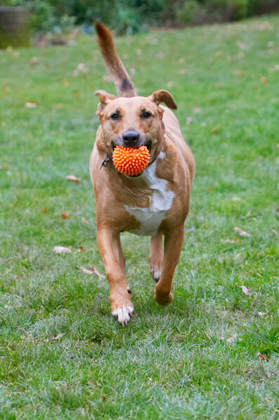 I got the ball