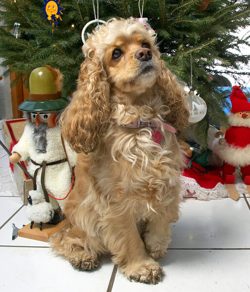 Alicia at Christmas