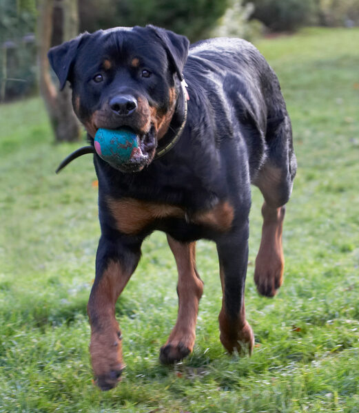This is my favourite activity