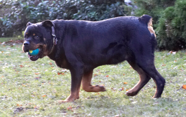 Yep, I've got the ball