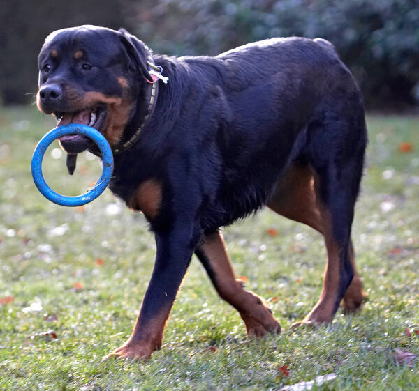 Hey, look at this trick