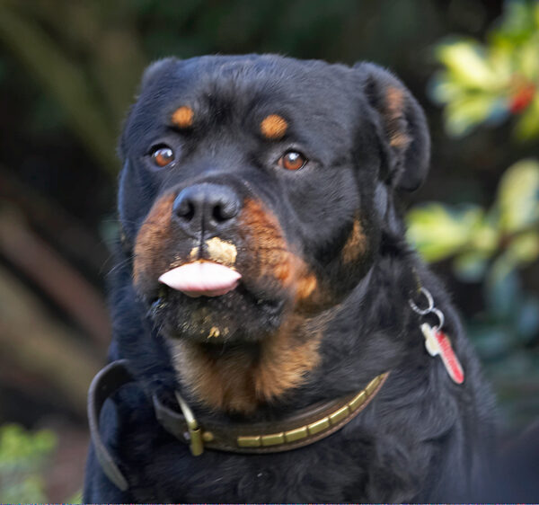 Whaddy mean, I've got some on my top lip