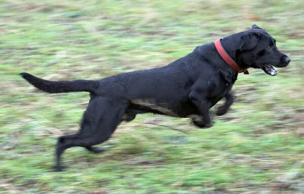 I'm flying