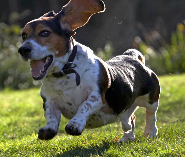 Hey, look, I'm flying