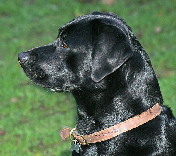 Billy