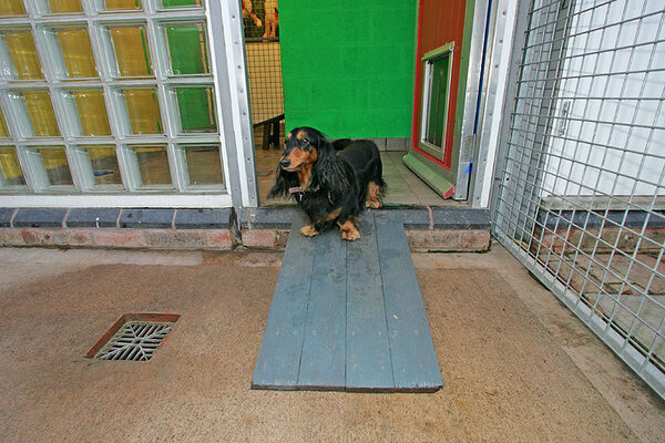 Whistler On Her Ramp