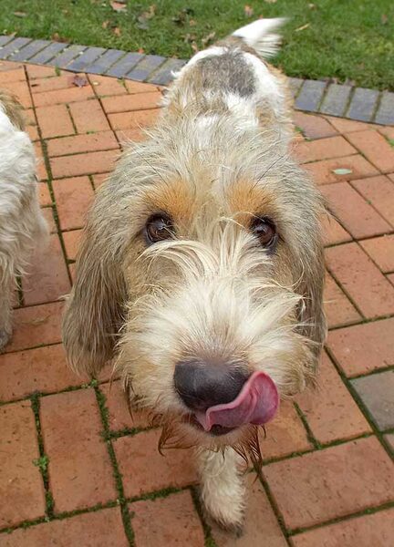 Libbie and that face that goes straight to the heart