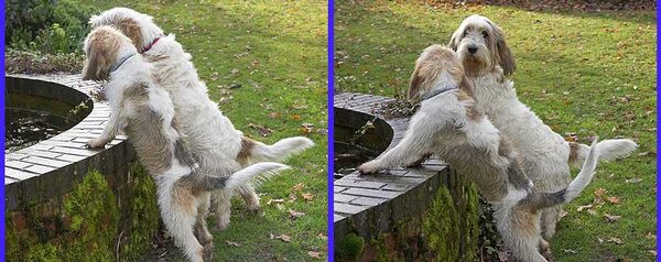 Alfie & Libbie inspecting the fountain