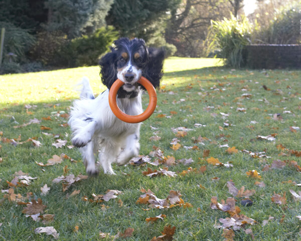 Whee, I'm flying
