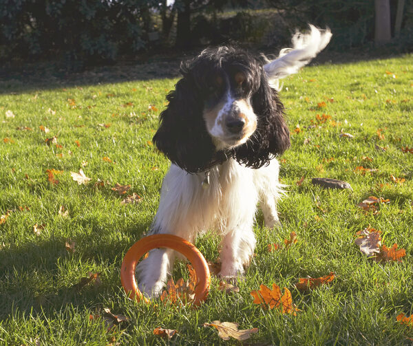Wot shall I do with it now?!